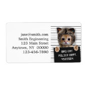 Niedlicher Katzenbold (Vorne)