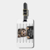 Niedlicher Katzenbold Gepäckanhänger (Vorderseite vertikal)