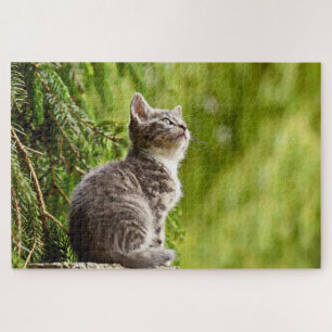 Niedlicher Katzengrau Kätzchen Grüner Kiefernbaum Puzzle