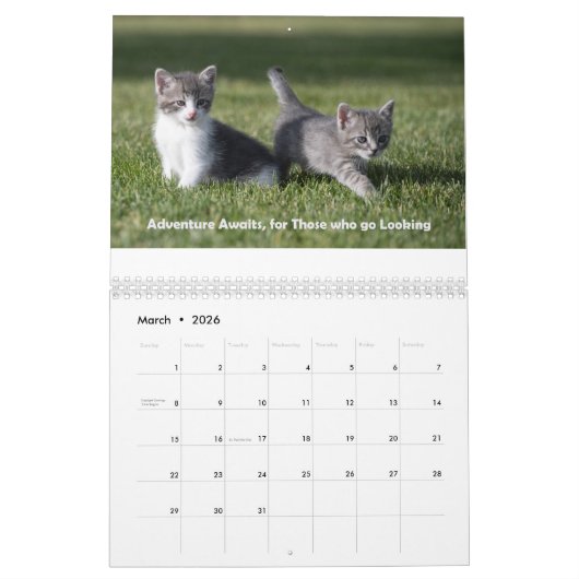 Niedlicher Katzenkalender Kalender (Mär 2026)