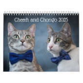 Niedlicher Katzenkalender Kalender (Titelbild)
