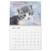 Niedlicher Katzenkalender Kalender (Jan 2027)