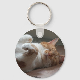 Niedlicher Katzenschlafen Schlüsselanhänger