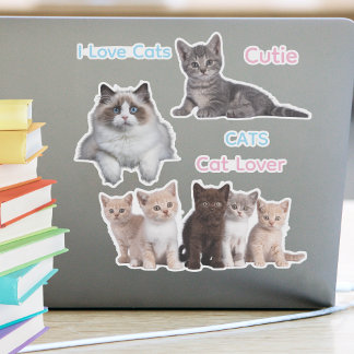 Niedlicher Katzenspass und alberner Katzenliebhabe Aufkleber