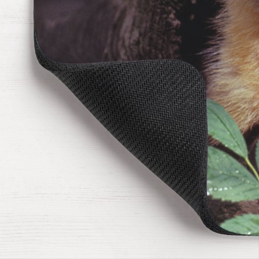 Niedlicher Kiefern-Marder Mousepad (Ecke)