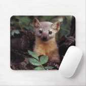 Niedlicher Kiefern-Marder Mousepad (Mit Mouse)
