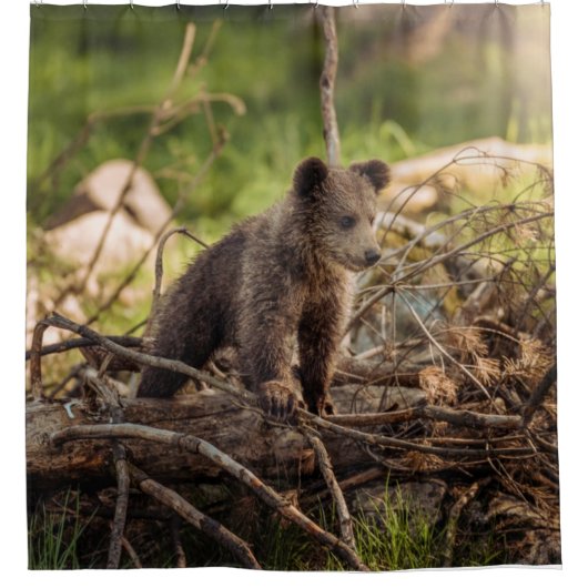Niedlicher Kinderbär in Woods Duschvorhang (Vorderseite)