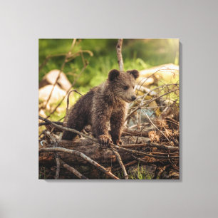Niedlicher Kinderbär in Woods Leinwanddruck