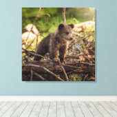 Niedlicher Kinderbär in Woods Leinwanddruck (Insitu (Holzboden))
