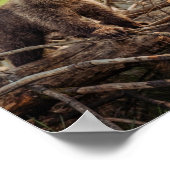 Niedlicher Kinderbär in Woods Poster (Ecke)