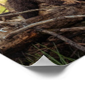 Niedlicher Kinderbär in Woods Poster (Ecke)
