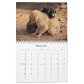 Niedlicher Kinderkalender Kalender (Mär 2027)