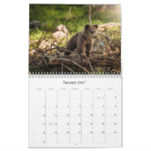Niedlicher Kinderkalender Kalender (Jan 2027)