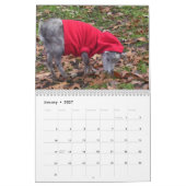 Niedlicher Kinderziegen-Kalender Kalender (Jan 2027)