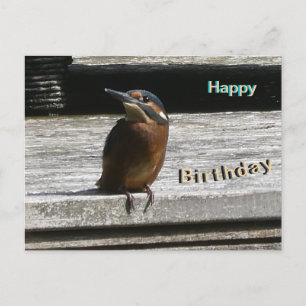 Niedlicher Kingfisher Nah Up Happy Geburtstagskart Feiertagspostkarte
