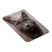 Niedlicher Kitty Kühlschrankmagnet Magnet (Rechte Seite)
