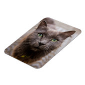 Niedlicher Kitty Kühlschrankmagnet Magnet (Linke Seite)