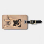 Niedlicher Kitz-Mops-Hund mit Bogen-Krawatte Gepäckanhänger (Vorderseite horizontal)