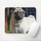 Niedlicher Kitz-Mops Mousepad (Mit Mouse)