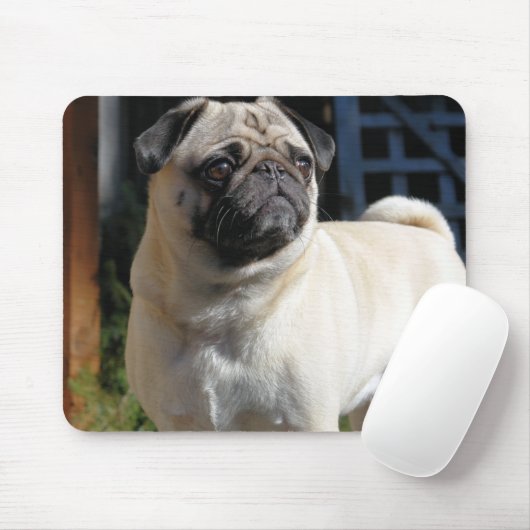 Niedlicher Kitz-Mops Mousepad (Mit Mouse)