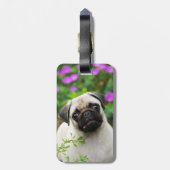 Niedlicher Kitz-Mopswelpe Gepäckanhänger (Rückseite vertikal)