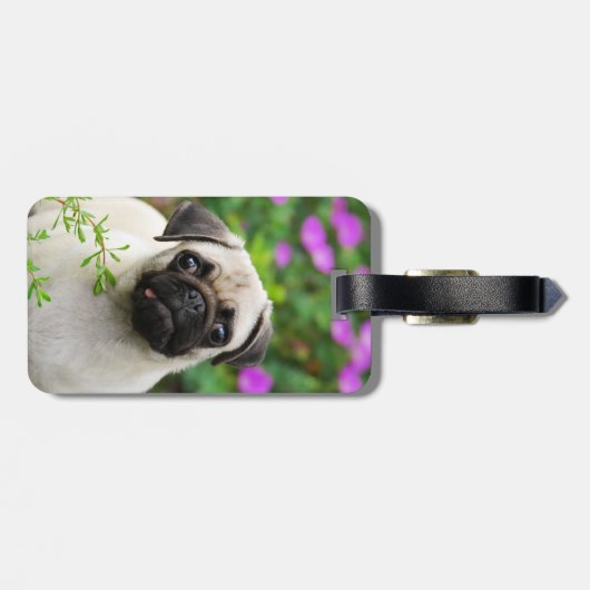 Niedlicher Kitz-Mopswelpe Gepäckanhänger (Rückseite horizontal)