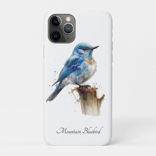 Niedlicher kleiner Bergbluebird, Brauch Case-Mate iPhone Hülle (Rückseite)