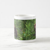 Niedlicher kleiner Biber Kaffeetasse (Mittel)