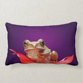 Niedlicher kleiner Brown gemarmorter Reedfrosch Lendenkissen