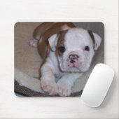 Niedlicher kleiner Bulldoggen-Welpe Mousepad (Mit Mouse)