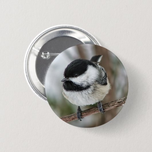 Niedlicher kleiner Chickadee Button (Vorne & Hinten)