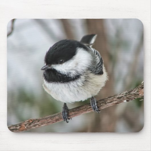 Niedlicher kleiner Chickadee Mousepad (Vorne)