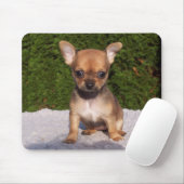 Niedlicher kleiner Chihuahua-Welpenhund Mousepad (Mit Mouse)