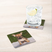 Niedlicher kleiner Chihuahua-Welpenhund Rechteckiger Pappuntersetzer (Vor Ort)