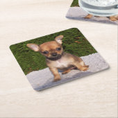 Niedlicher kleiner Chihuahua-Welpenhund Rechteckiger Pappuntersetzer (angewinkelt)