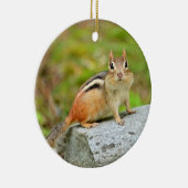 Niedlicher kleiner Chipmunk, der auf einem Felsen Keramikornament (Rechts)