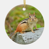Niedlicher kleiner Chipmunk, der auf einem Felsen Keramikornament (Vorne)