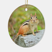 Niedlicher kleiner Chipmunk, der auf einem Felsen Keramikornament (Links)