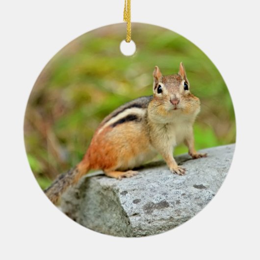 Niedlicher kleiner Chipmunk, der auf einem Felsen Keramikornament (Hinten)