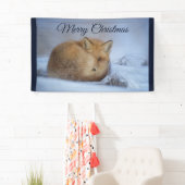 Niedlicher kleiner Fox knurrte Foto Weihnachten Banner (Insitu)