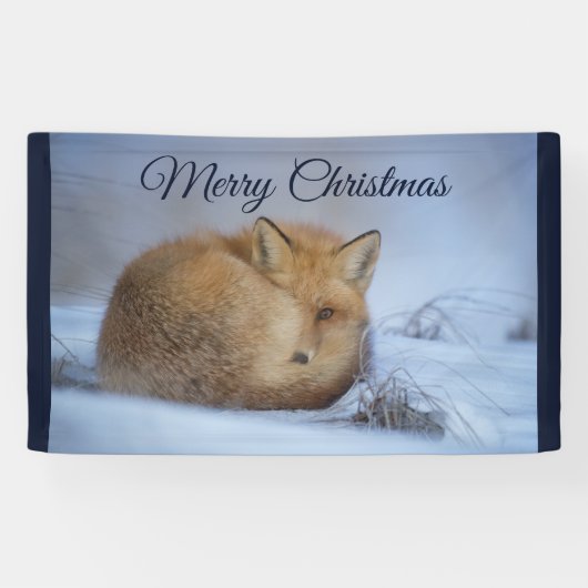 Niedlicher kleiner Fox knurrte Foto Weihnachten Banner (Horizontal)