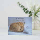 Niedlicher kleiner Fuchs hat das Foto im Winter au Postkarte (Stehend Vorderseite)
