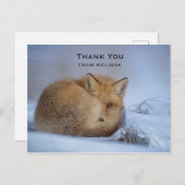 Niedlicher kleiner Fuchs hat das Foto im Winter au Postkarte (Vorne/Hinten)