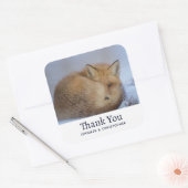 Niedlicher kleiner Fuchs krümmte Winterfest Foto G Quadratischer Aufkleber (Umschlag)