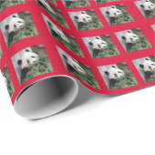 Niedlicher kleiner geschenkpapier (Rolleneckpunkt)