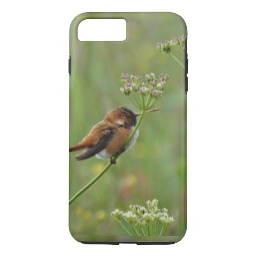 Niedlicher kleiner Hummingvogel Case-Mate iPhone Hülle (Rückseite)
