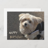 Niedlicher kleiner Hund Happy Geburtstag Postkarte (Vorne/Hinten)