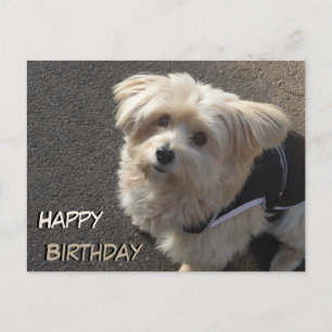 Niedlicher kleiner Hund Happy Geburtstag Postkarte