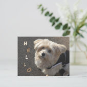 Niedlicher kleiner Hund HELLO Postcard Postkarte (Stehend Vorderseite)