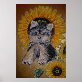 Niedlicher kleiner Hund und Sonnenblumen Poster